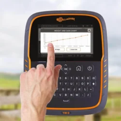 026039 5WEB.webp 800x800