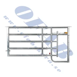 MG 7013 Edit 1 scaled