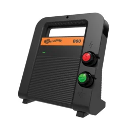 B60