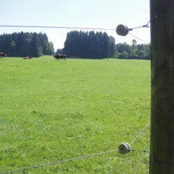 Porslin hörnisolator rund (6)