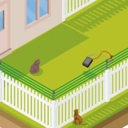 Katt staket trädgård sats solar
